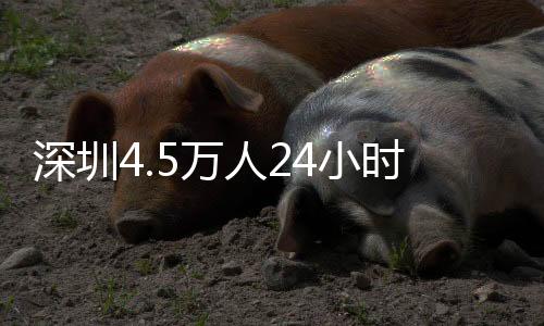 深圳为了确保学生人身平安