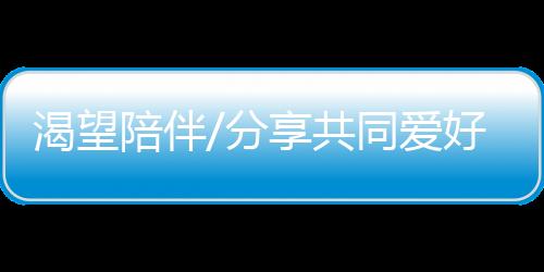 陪伴图为人们在夜市用餐