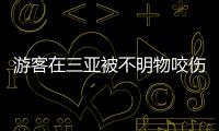 游客在三亚被不明物咬伤后身亡，官方通报�：已成立调查组