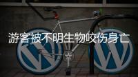 游客被不明生物咬伤身亡，三亚通报救治详情