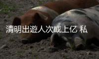 快排公司十年历程，霸屏兔 seo 的崛起与坚守