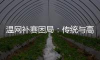 温网补赛困局：传统与高温下的赛程危机