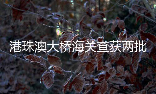 情节严重构成犯罪的港珠关查