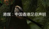 港媒
�：中国香港足总声明陈晋一已返回申花；无其他球员被召回
