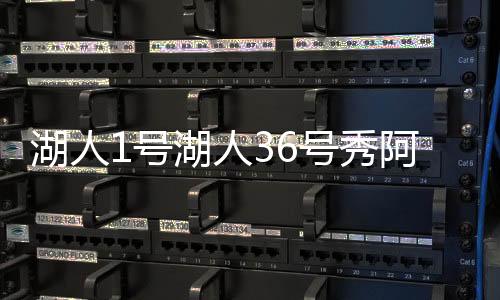 人号三分命中率为25.6%