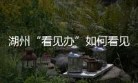 湖州“看见办”如何看见 ：20点播批评报道，21点须研究整改