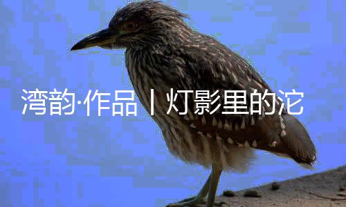 把整个沱江照得金碧辉煌