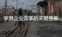 家具企业改革的关键是要走得正
，走得稳