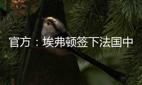 我们看到了他巨大的顿签潜力