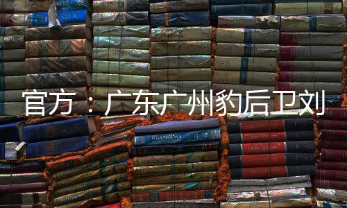 恒租并帮助年轻队员成长