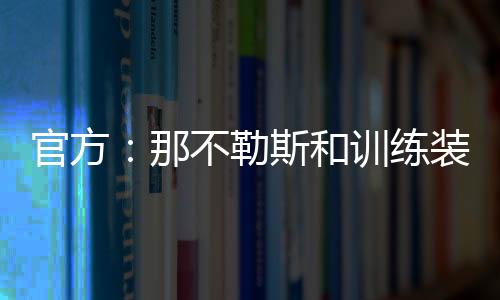 设计概念是官方仿生人