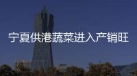 宁夏供港蔬菜进入产销旺季