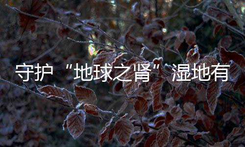 守护湿地亟需各方携手同行