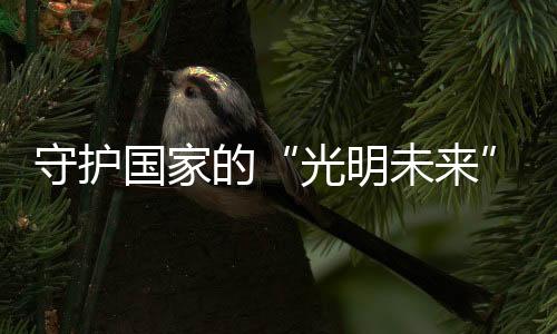 提供不同场景最佳光照环境