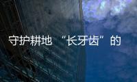 快排公司十年历程，霸屏兔 seo 的崛起与坚守
