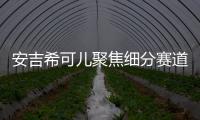 安吉希可儿聚焦细分赛道	，在国货品牌中大放异彩