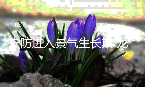 期龙5.0 寸为OLED 版本