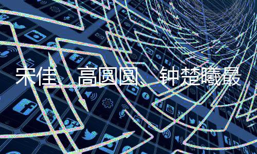 夏天最火的高圆4件T恤