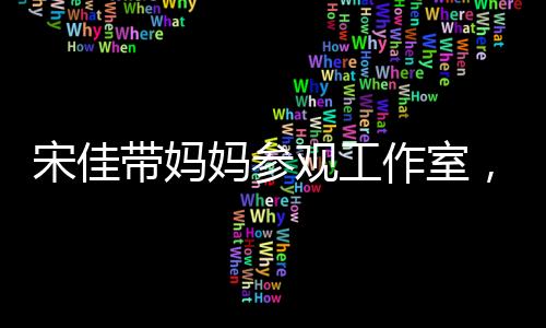 宋佳很喜爱大光明发型