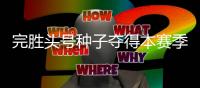 快排公司十年历程，霸屏兔 seo 的崛起与坚守