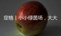 定格丨小小绿茵场，大大足球梦�！是什么，让这群孩子有哭有笑
？