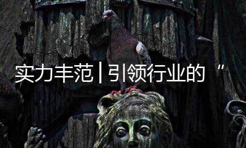 作为厨电行业的领军品牌