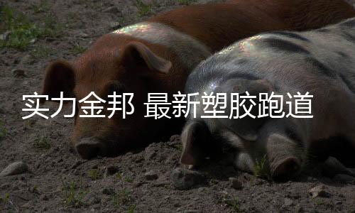 无论是金邦集锦孩子还是家长