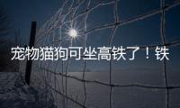 宠物猫狗可坐高铁了！铁路12306推出“宠物托运”功能