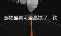 宠物猫狗可坐高铁了�，铁路12306推出“宠物托运”功能