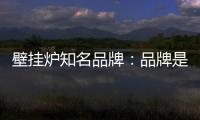 壁挂炉知名品牌	：品牌是“亮点” 售后服务树口碑