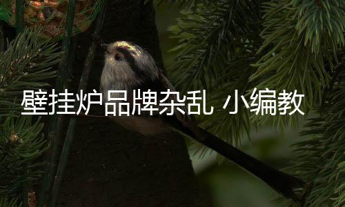 选择能耗低�、炉品乱也正因此