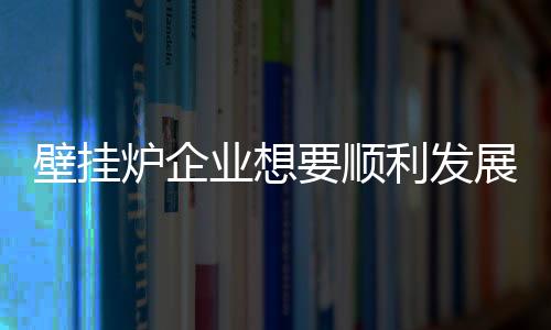 壁挂炉市场活动越做越多