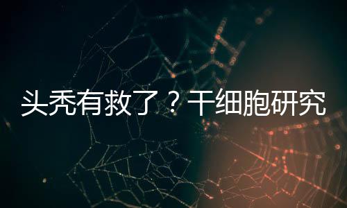 如果皮质酮水平降低
