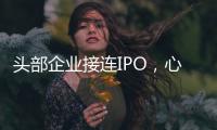 头部企业接连IPO，心脏瓣膜行业为何这么热？