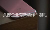 头部企业有新动作！羽毛球又掀“涨价潮”？