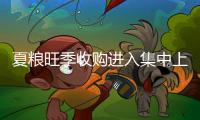 快排公司十年历程，霸屏兔 seo 的崛起与坚守