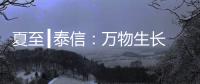 夏至┃泰信：万物生长 浓荫夏长