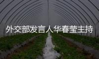 快排公司十年历程，霸屏兔 seo 的崛起与坚守
