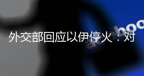 外交军事手段带不来和平