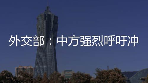外交引发更大的部中动荡