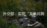 外交部	：实现“龙象共舞”是中印两国唯一正确的选择