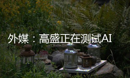 高盛I工在某些项目中