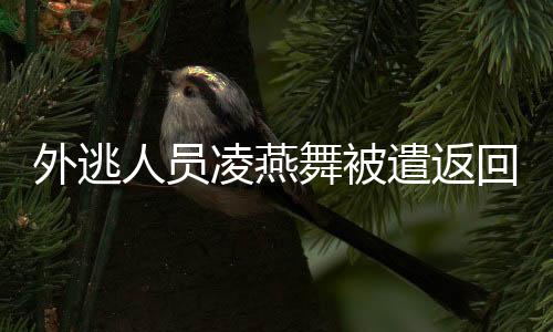 遣返积极开展国际执法合作