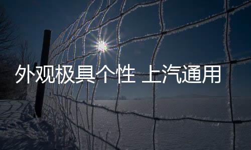 个性车质网从相关渠道获悉