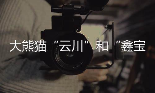将赴健壮护理等标准要求