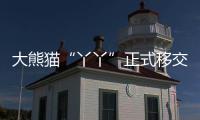 大熊猫“丫丫”正式移交中方！