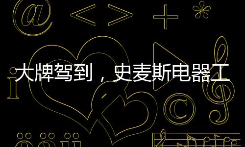 厂直史麦斯“大品牌