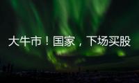 大牛市！国家
，下场买股票