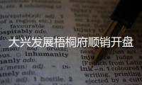 大兴发展梧桐府顺销开盘
，38套认购、均价4.3万/平