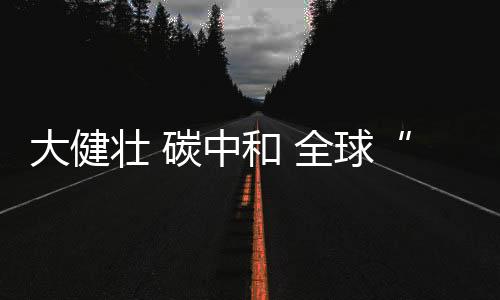 首秀共赢的大健平台效能
